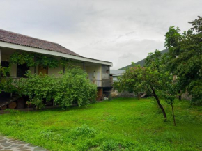 Vacation Home in the Heart of Gax